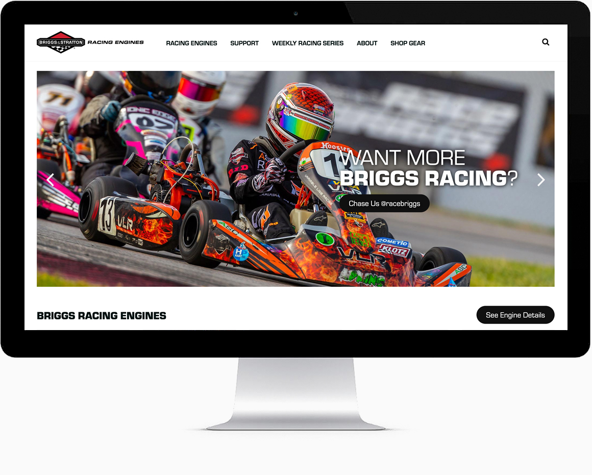 Briggs and Stratton Racing